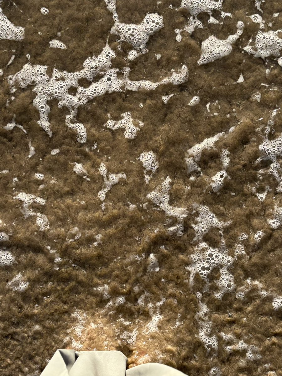 ilsaaa a nya banyak tweet media