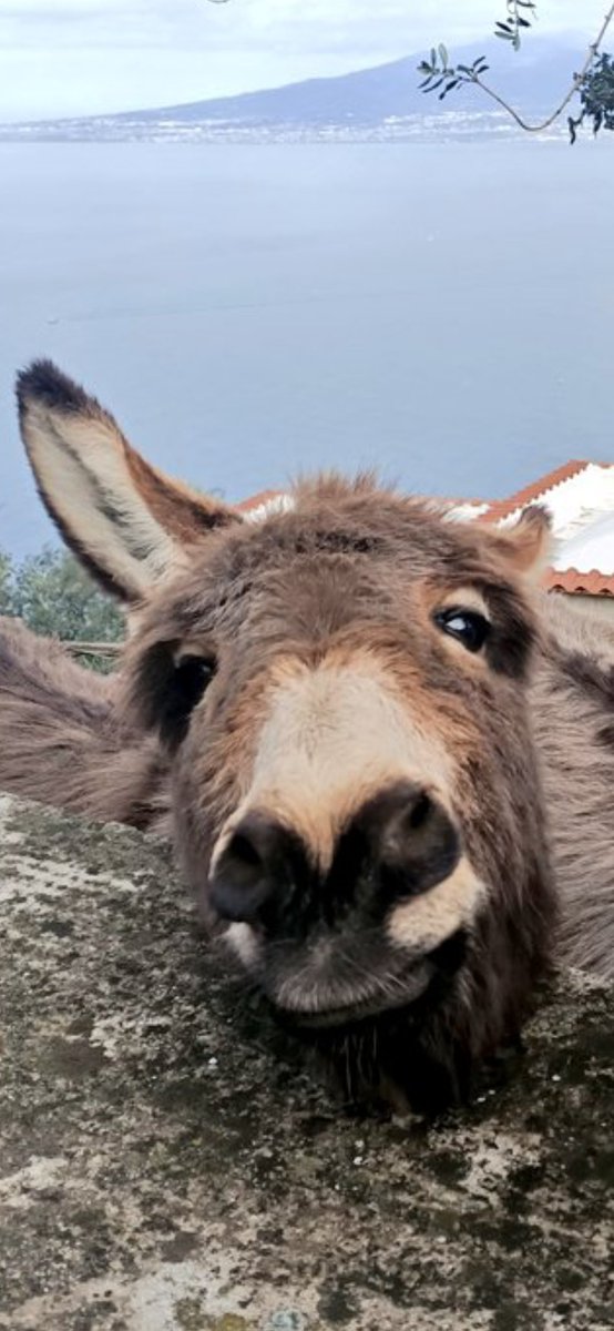 c.e.⚓📸👋 tweet media