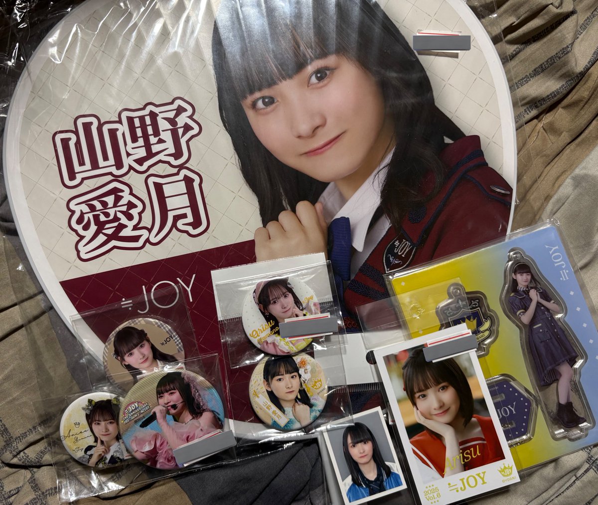 昨日でらなんで買ったありす達です あは、あはははは……🫠🫠🫠🫠