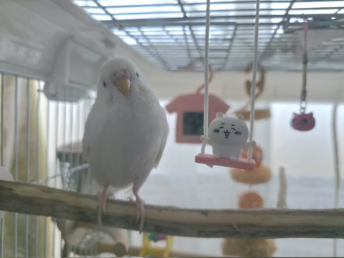 inkobanzai's tweet photo. ちいかわ https://t.co/jCib0qAqr3