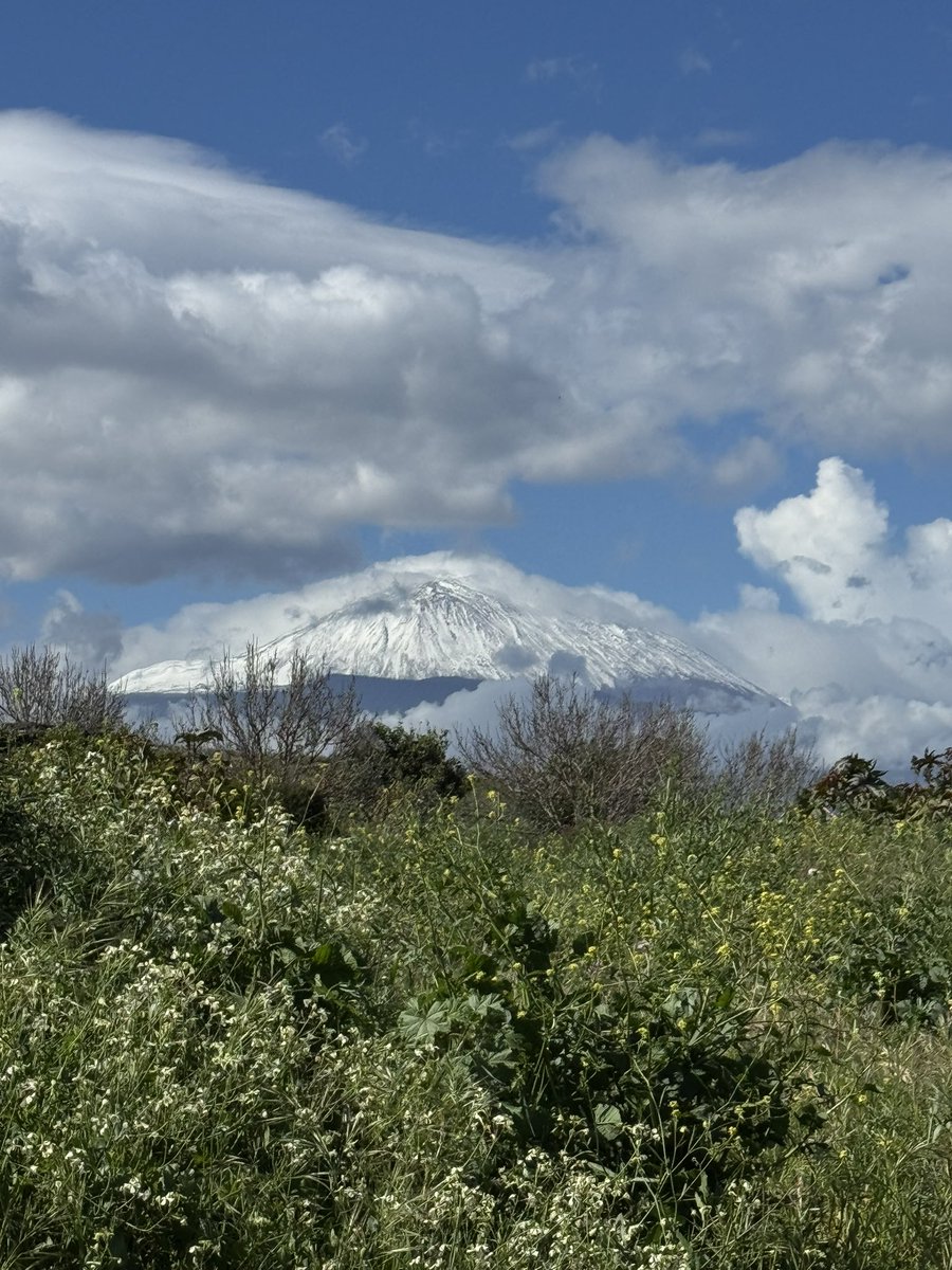 Rai Marrero 🇮🇨🏝⛱🌊 tweet media