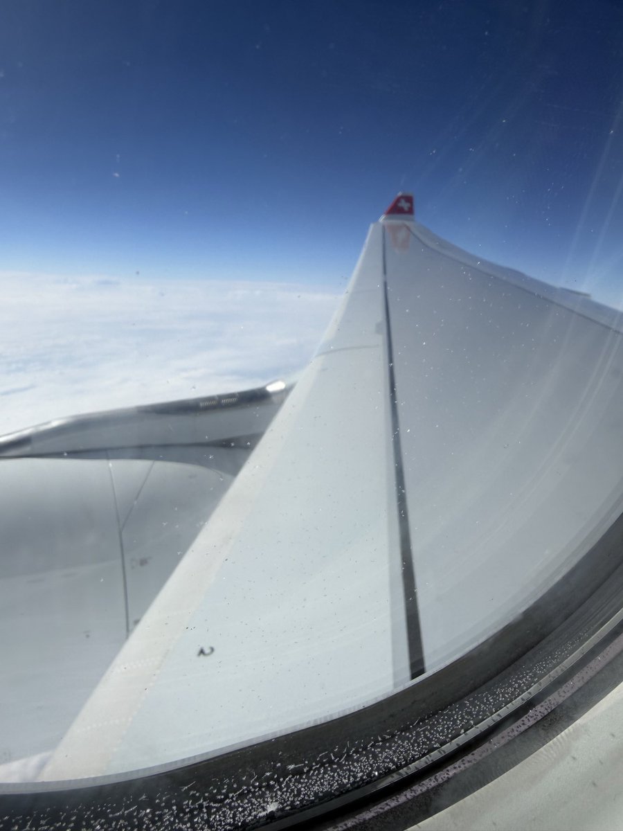 Back to the Mouse tweet media