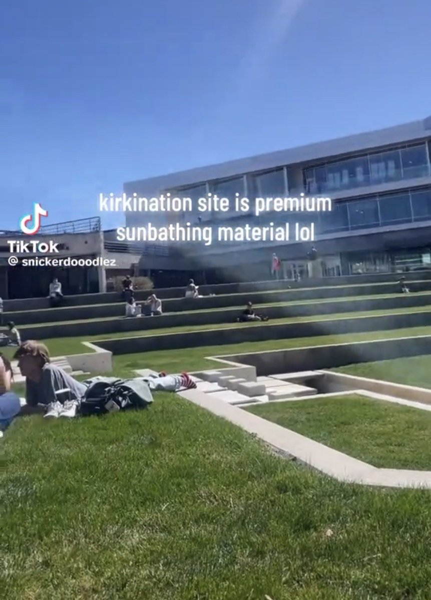 cold 🥑 tweet media