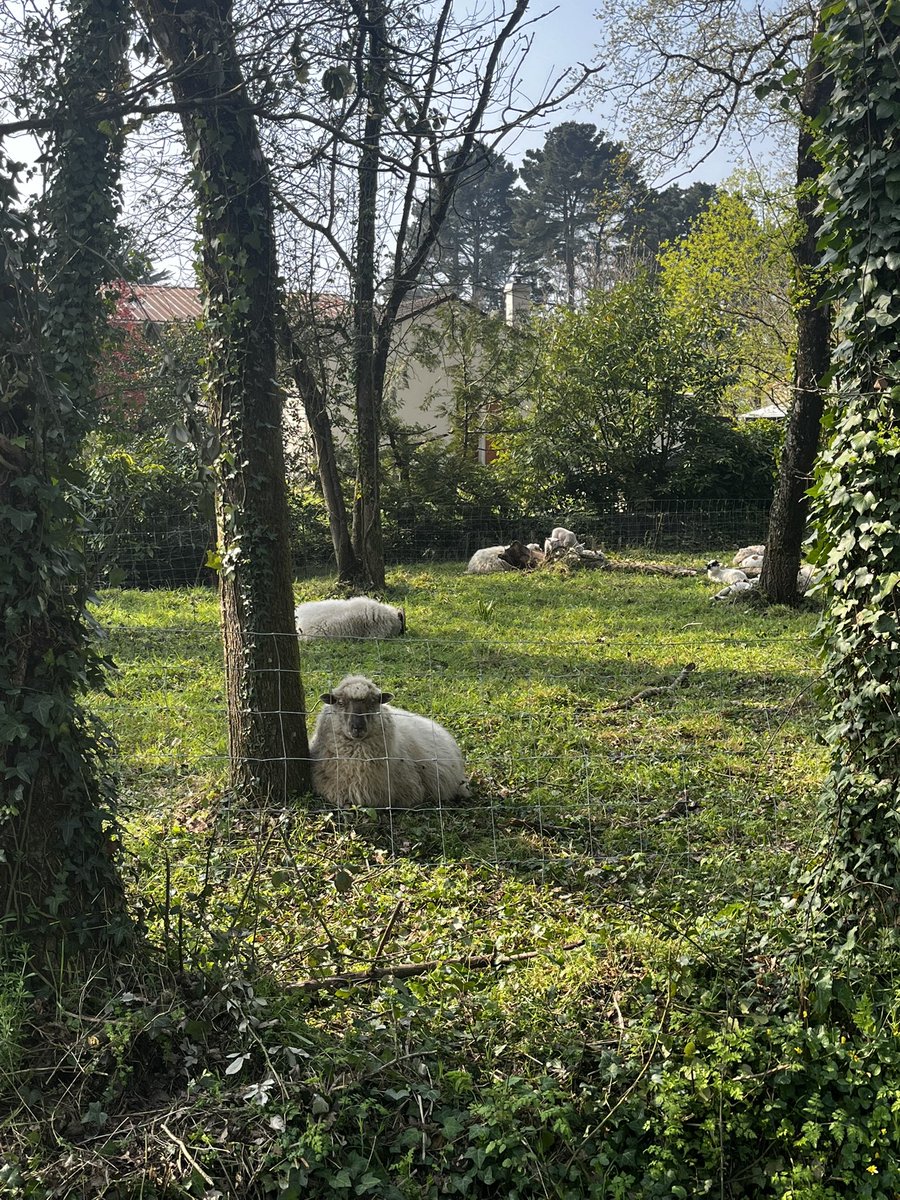 Appelle-moi Kevin🏃🏻‍♂️🚴🏻‍♂️ tweet media