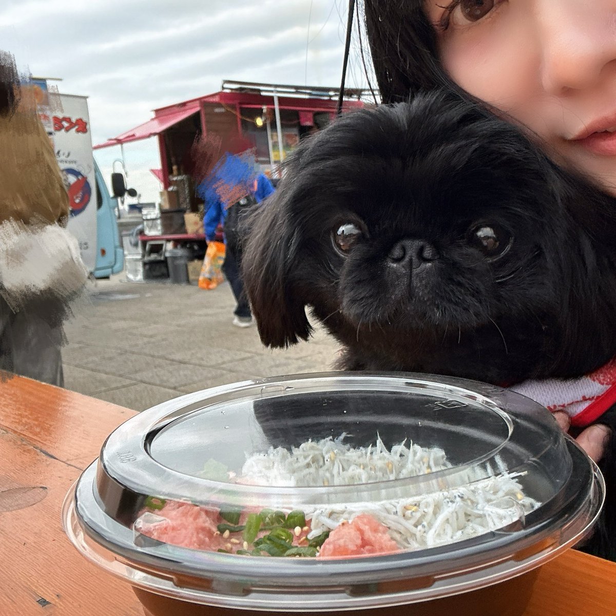 一二三🍓ちびなドラマー🤪🥁🍼 tweet media