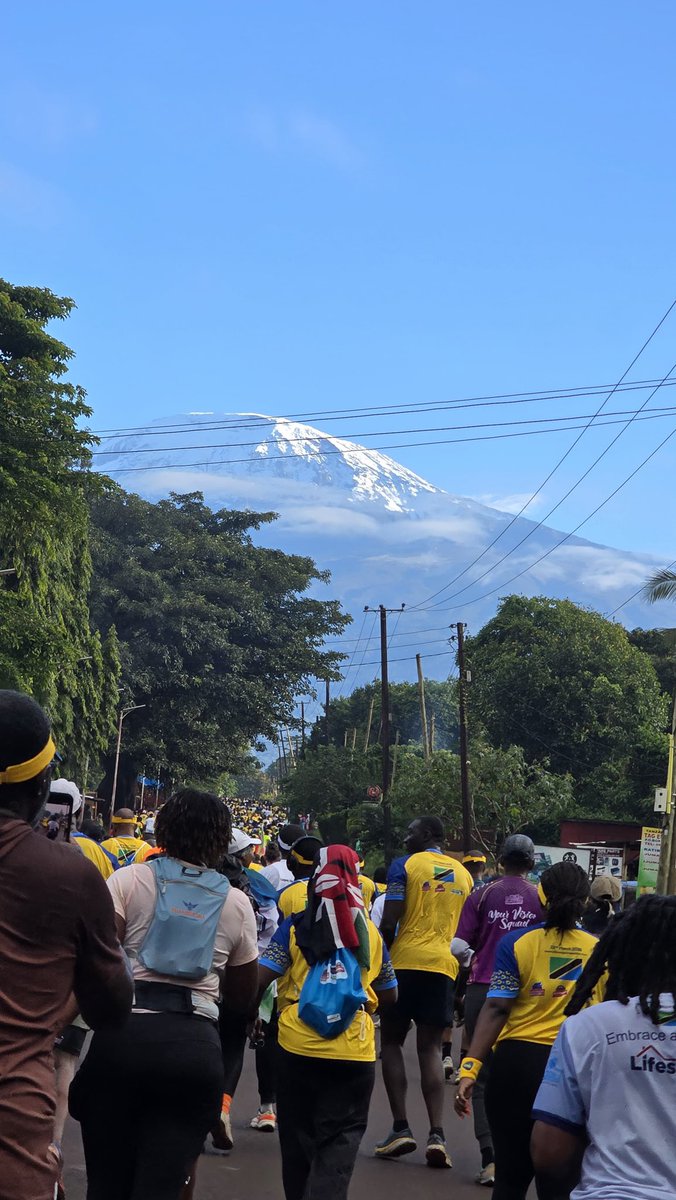 Siro Fits tweet media