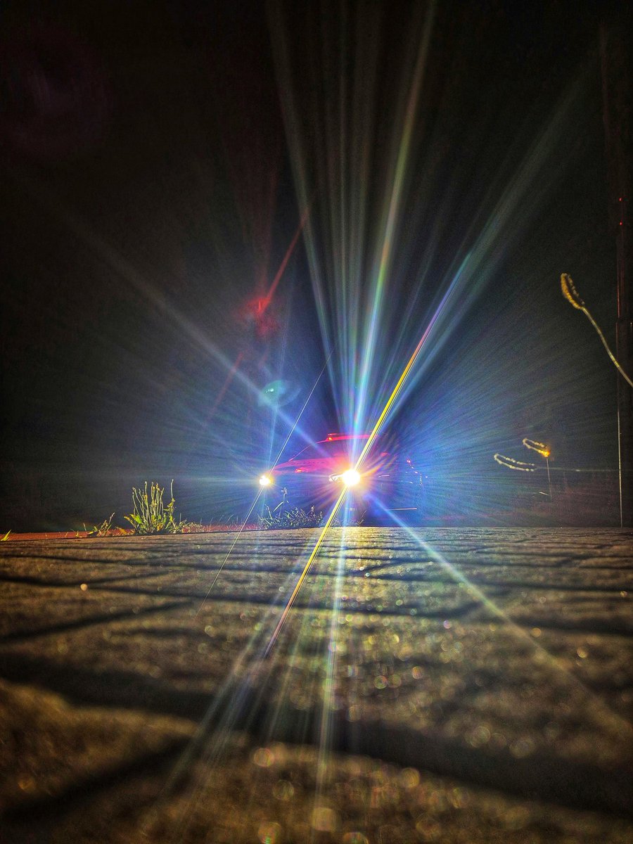 Milieu en dierenagent Leontine tweet media