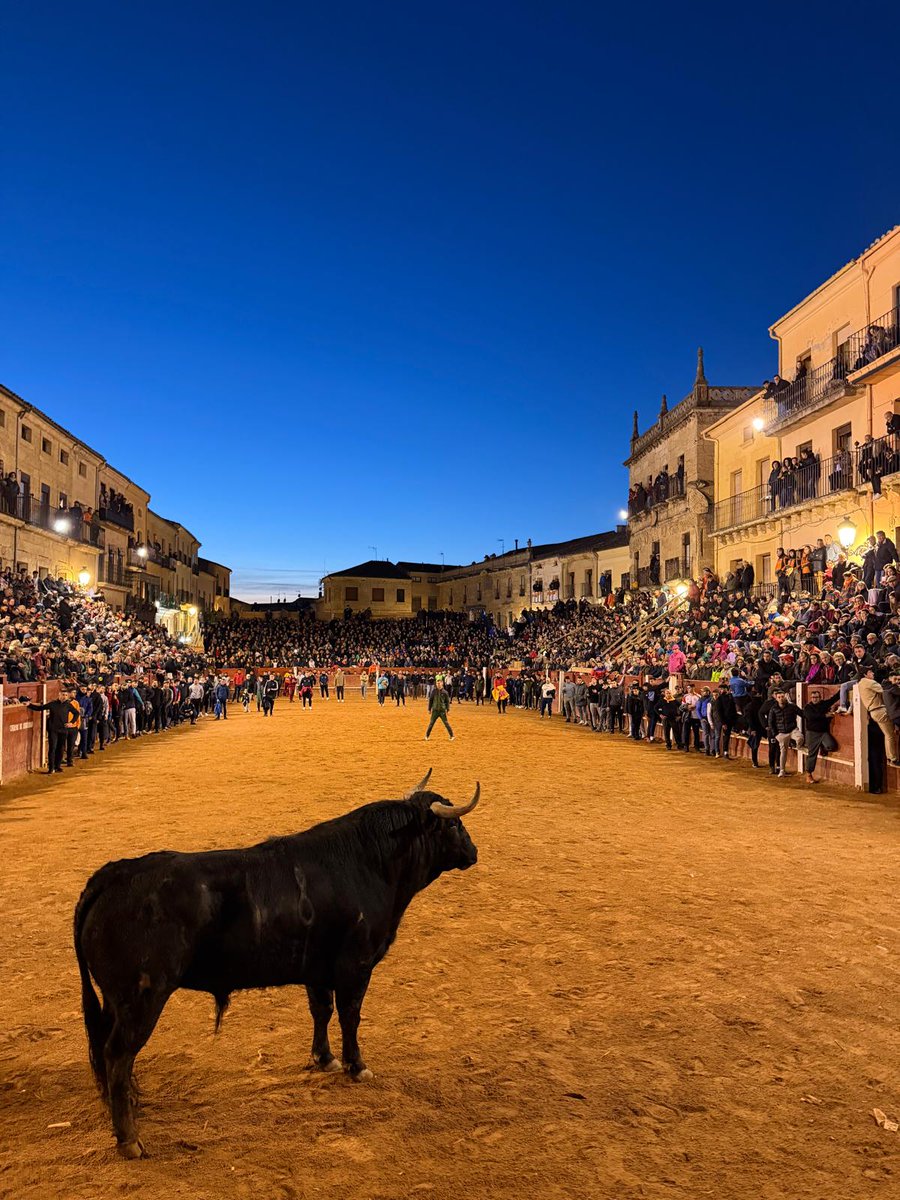 carnavaldeltoro's tweet photo. Cae la noche sobre la #Miróbriga que más amamos, el Rey del Carnaval en nuestra tradicional plaza de #Tablaos, ¿hay un momento y lugar mejor?. https://t.co/joKMjQWhro