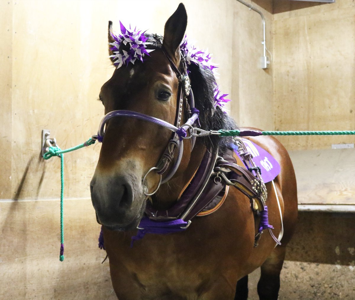 霧島 楓 tweet media