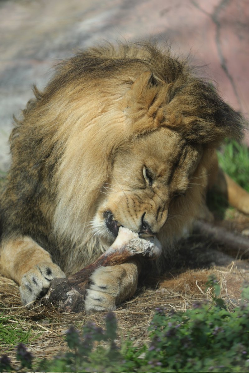 tabibito tweet media