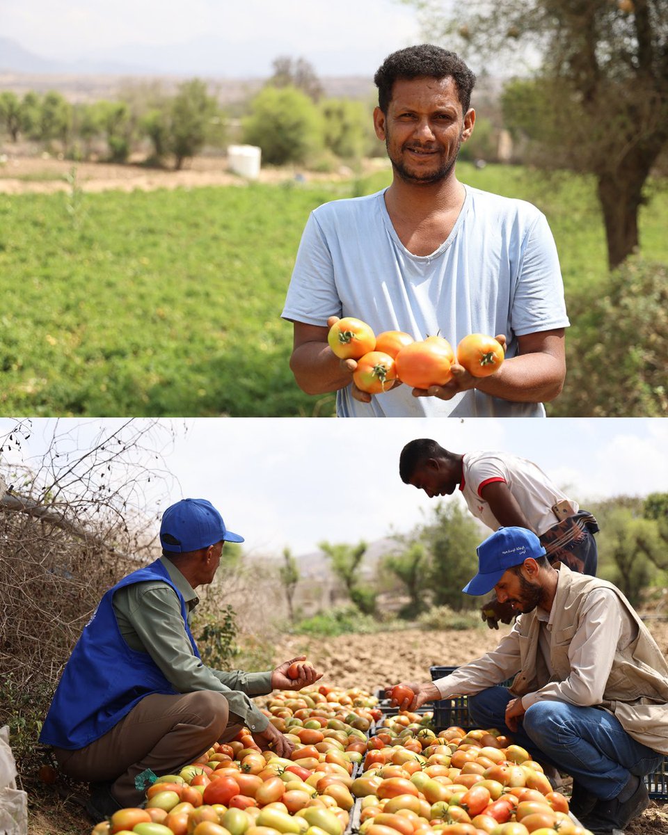 Islamic Relief Worldwide tweet media