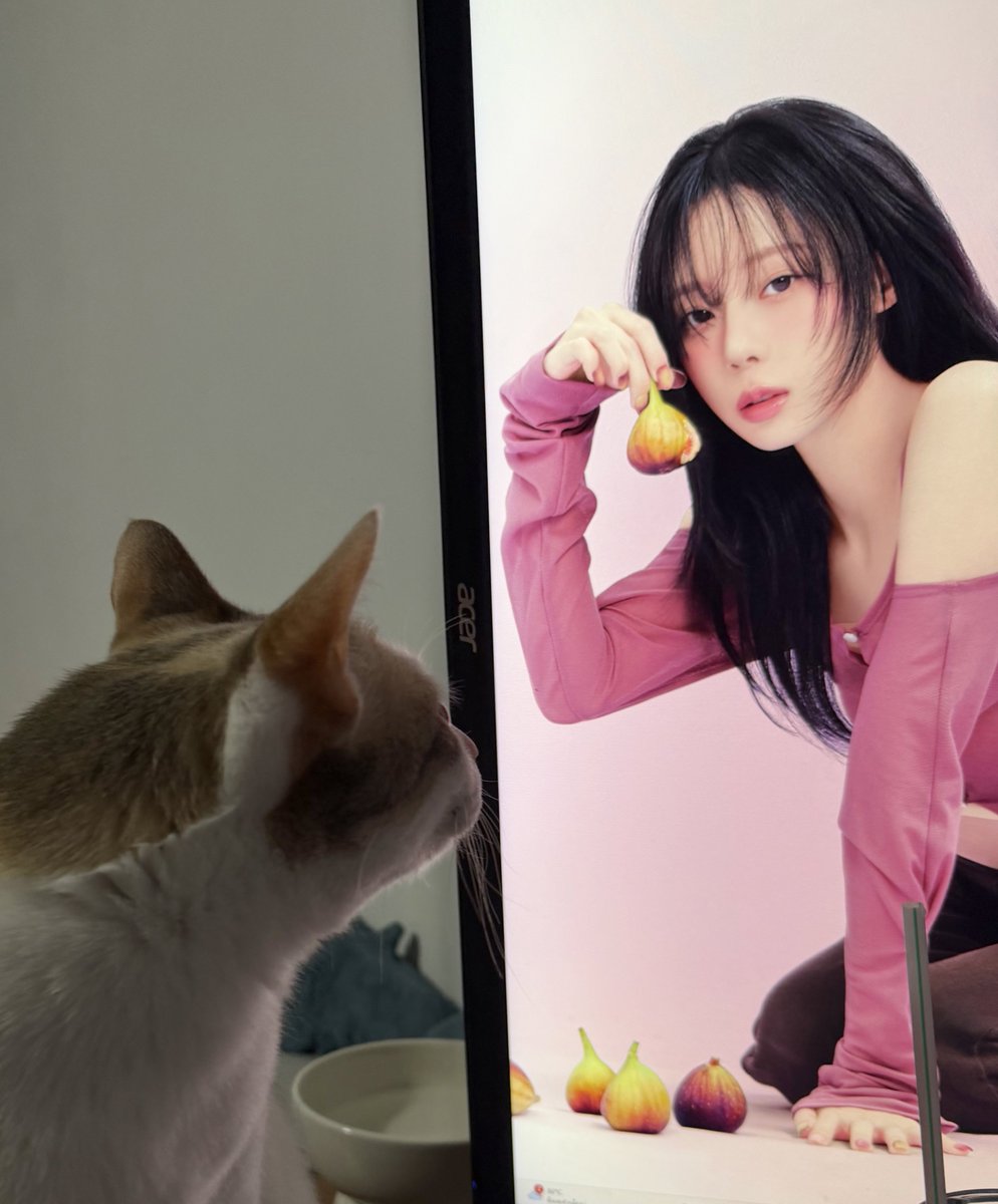 imMJ💙 tweet media