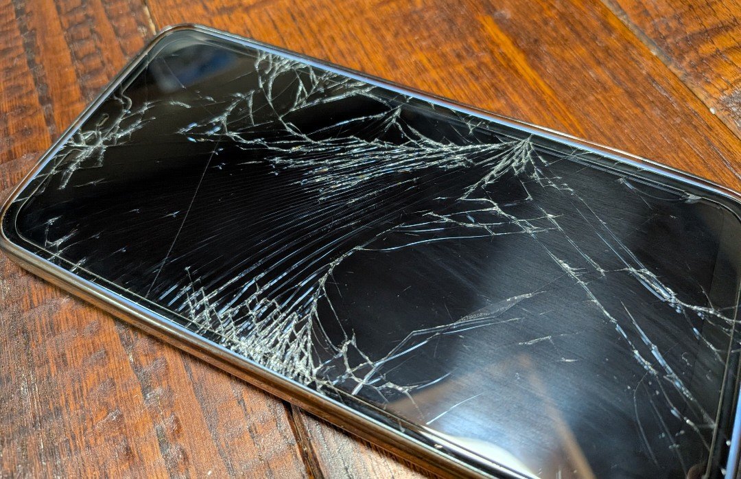 思春期の頃からずうっとそばにいてくれてありがとね…セバスチャン…