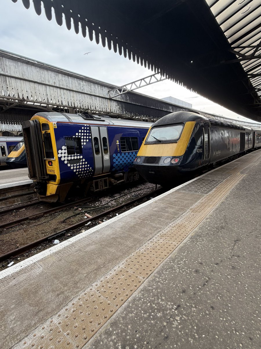 Andi Watson tweet media