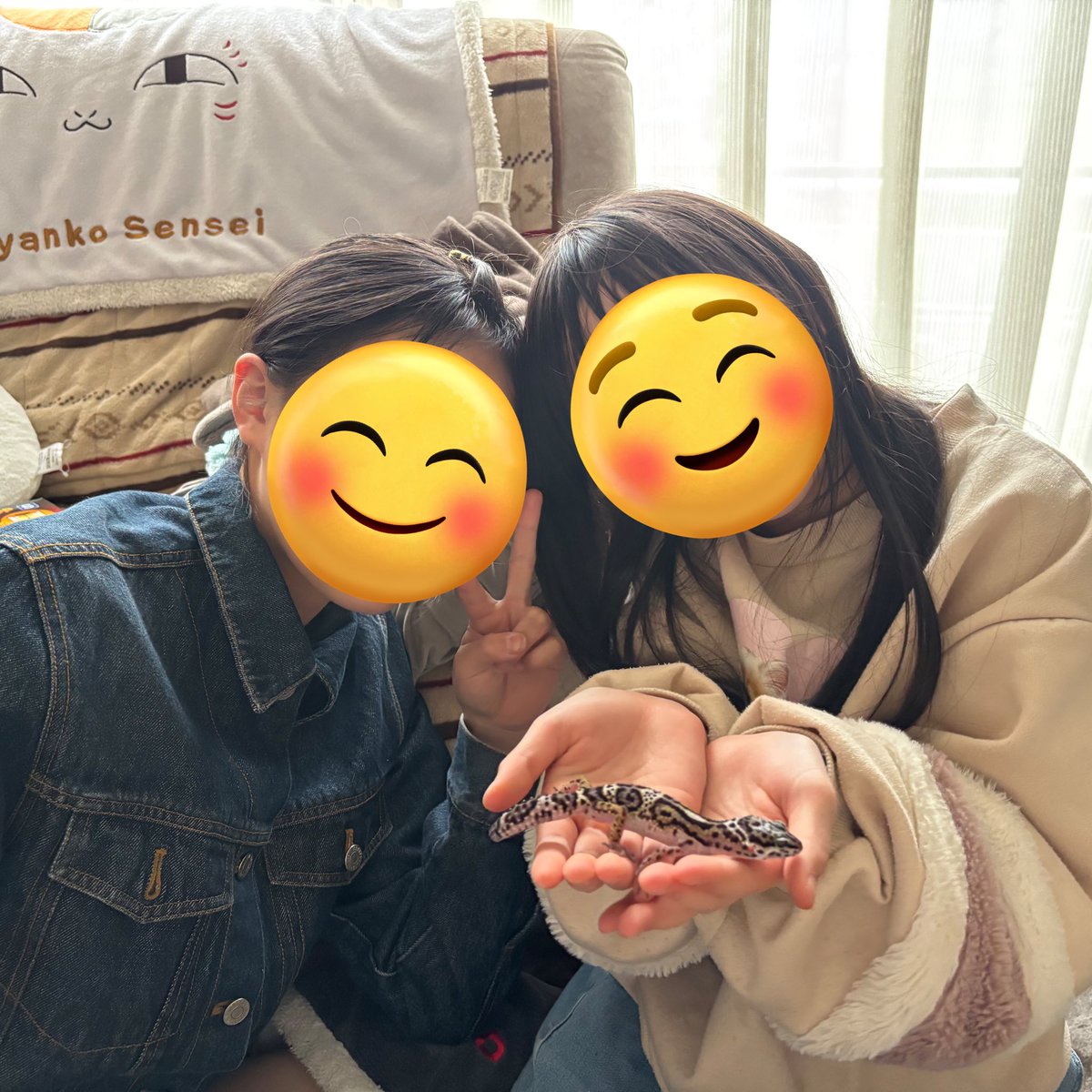 てらっち tweet media