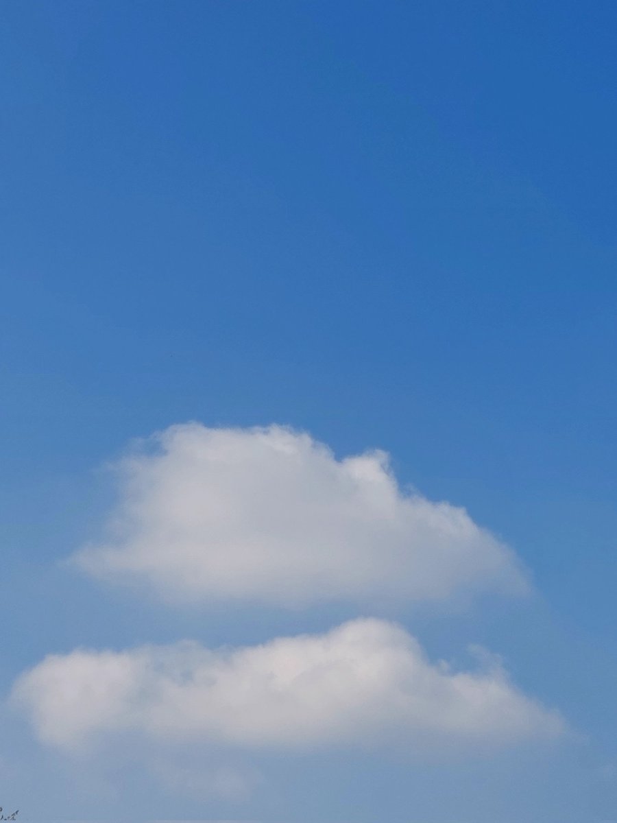 David Chapelle tweet media