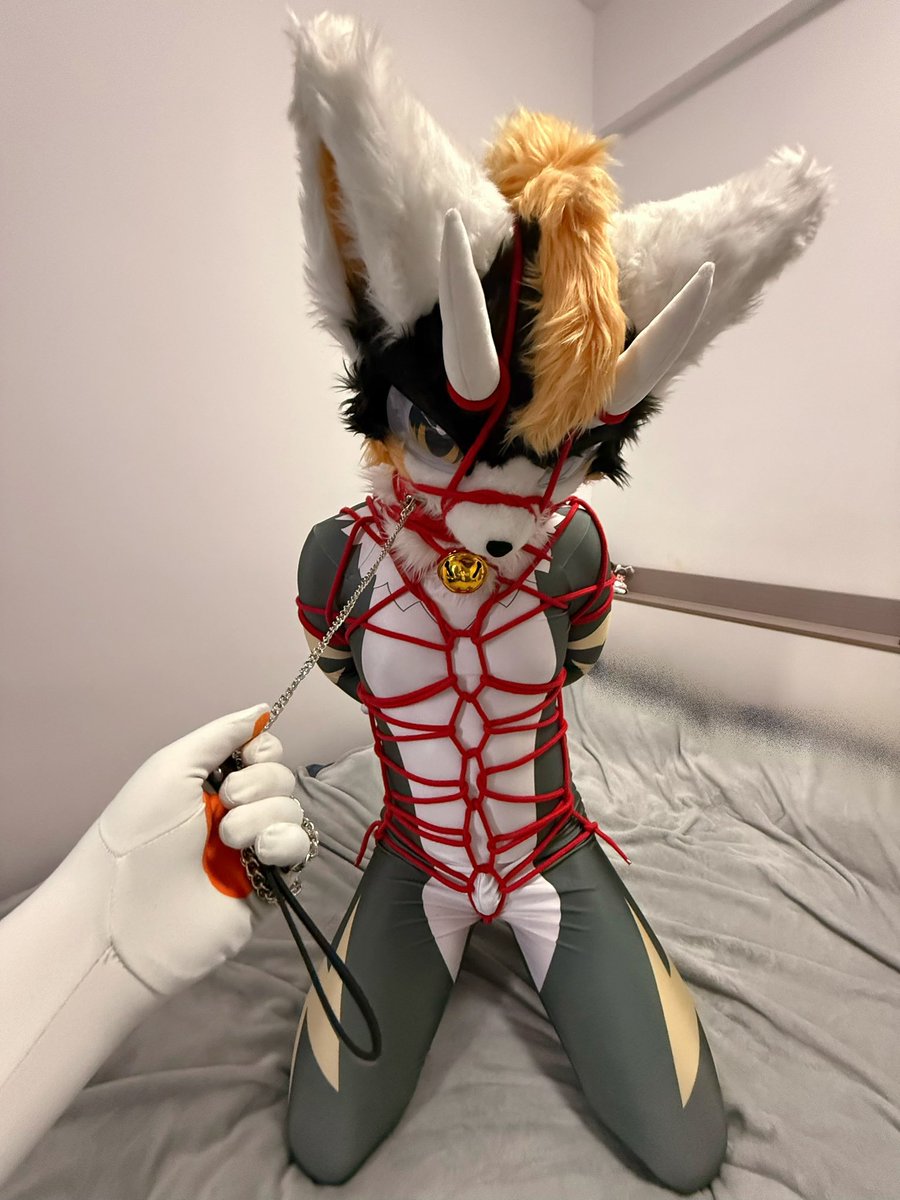 Milo闵乐 tweet media