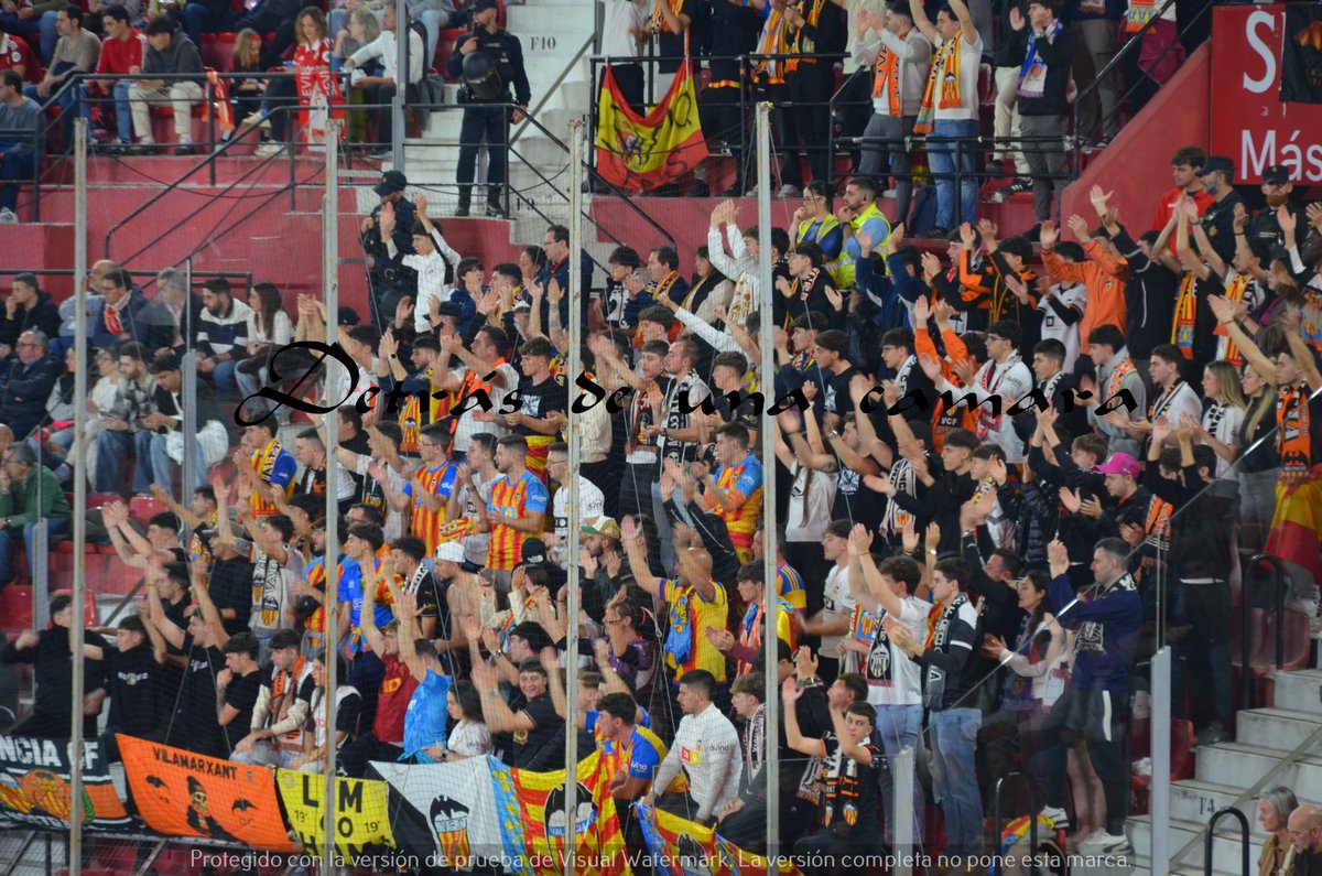 LA GRADA DETRÁS DE UNA CÁMARA tweet media