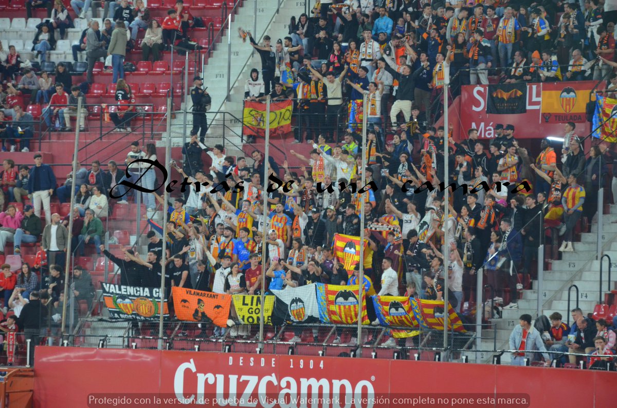 LA GRADA DETRÁS DE UNA CÁMARA tweet media