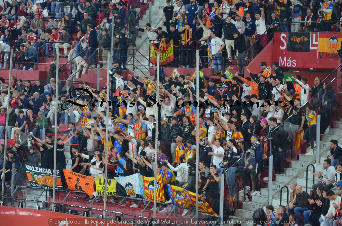 LA GRADA DETRÁS DE UNA CÁMARA tweet media