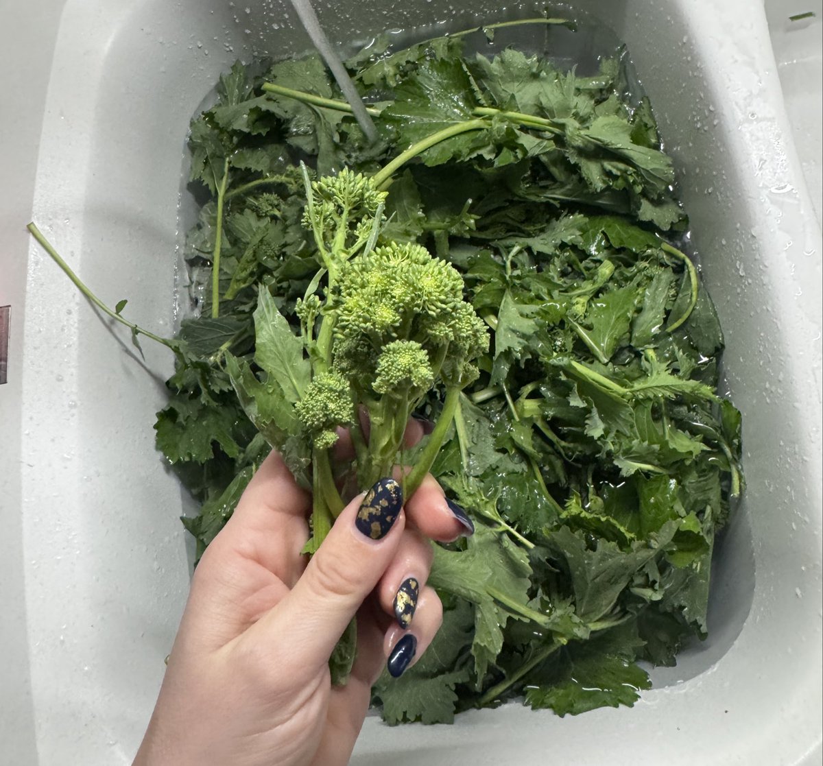 Ventiduesettembre tweet media