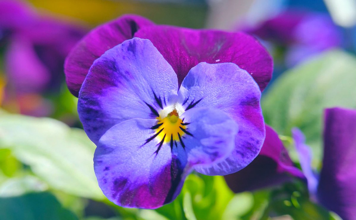 Manuela Forster tweet media