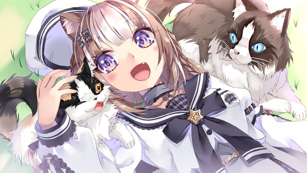 犬峰あや🐶🍗療養中🛏️ tweet media