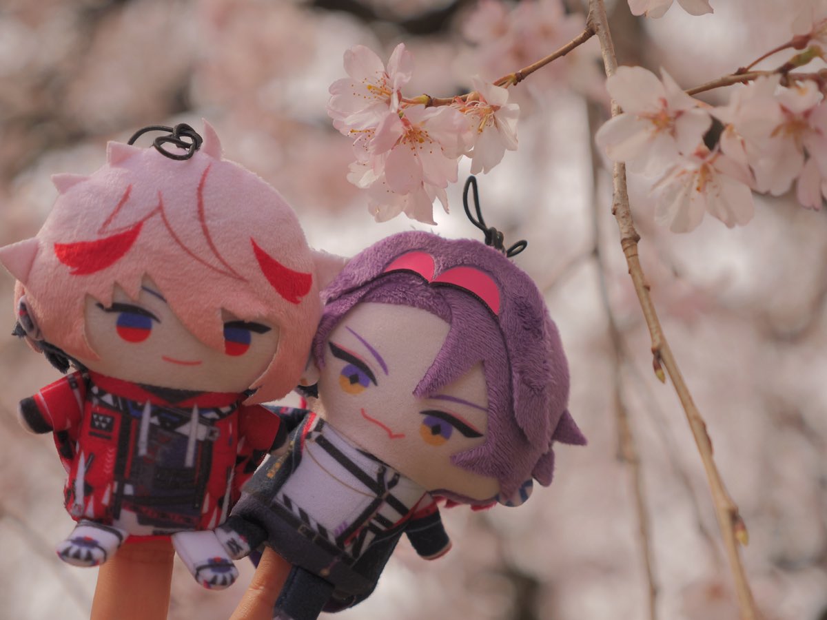 しちく tweet media