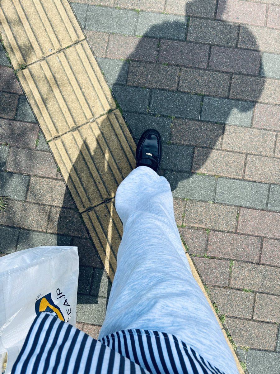 めだまやき🍳 tweet media