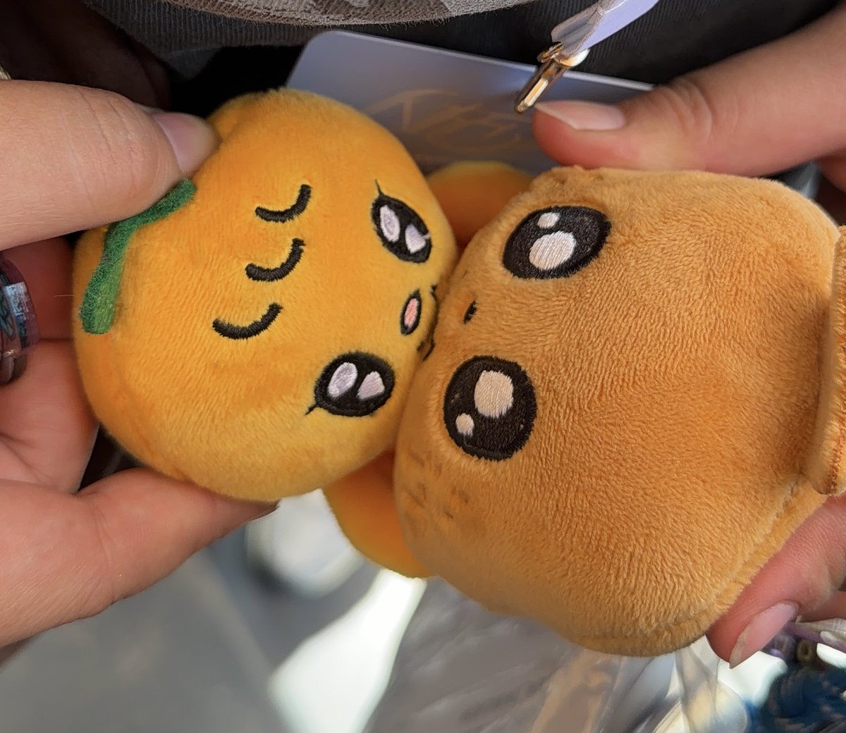 jian 🧸 tweet media