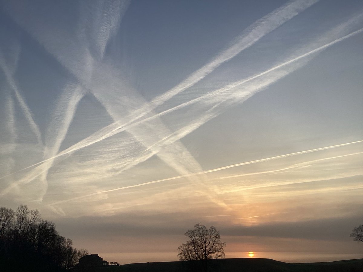 Marcy Lambourne tweet media