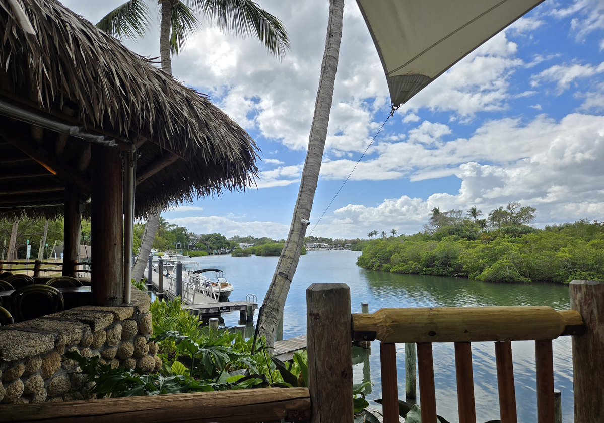 Dave_da_Bull tweet media