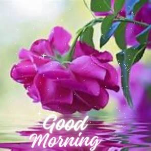 Julie Threlfall tweet media