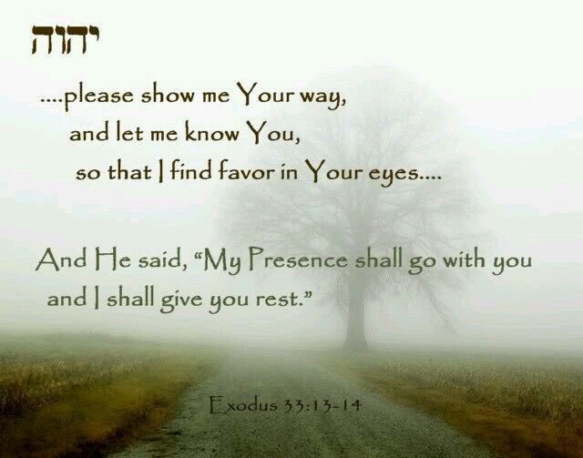 Jim Suttle tweet media