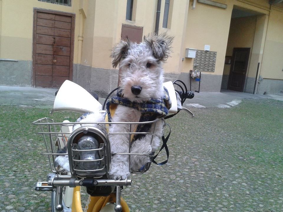 erik🌞 tweet media