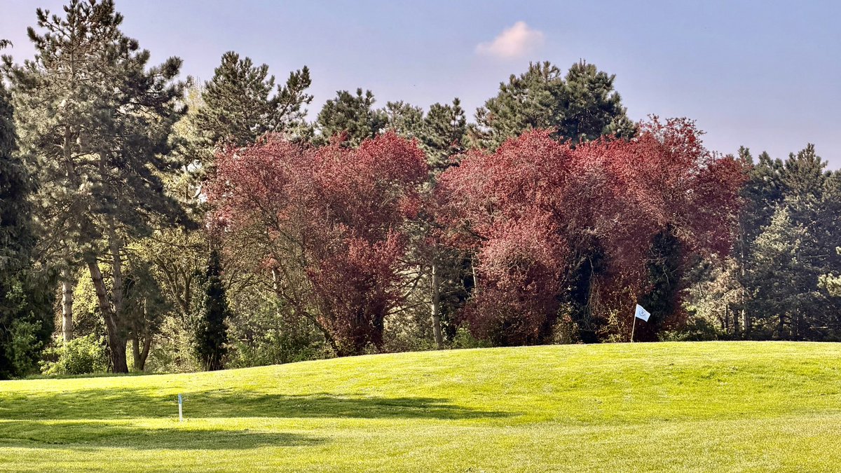Julien Chièze tweet media