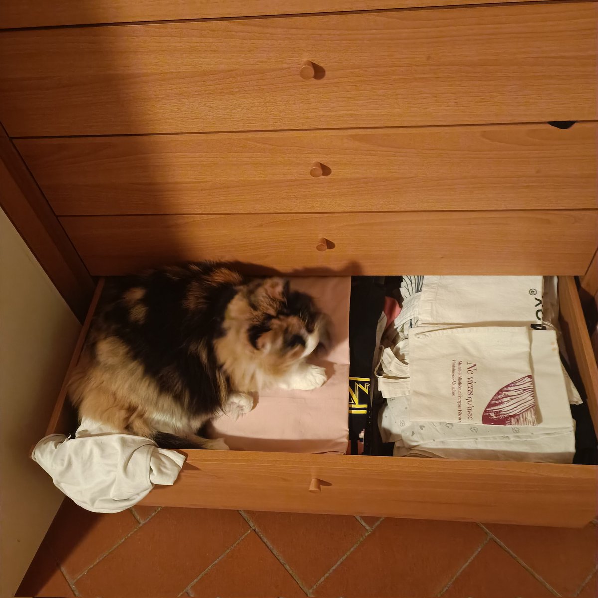 Arual tweet media