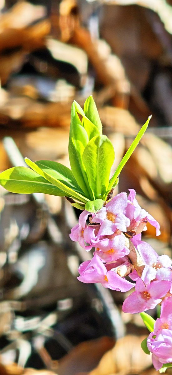 George Best tweet media