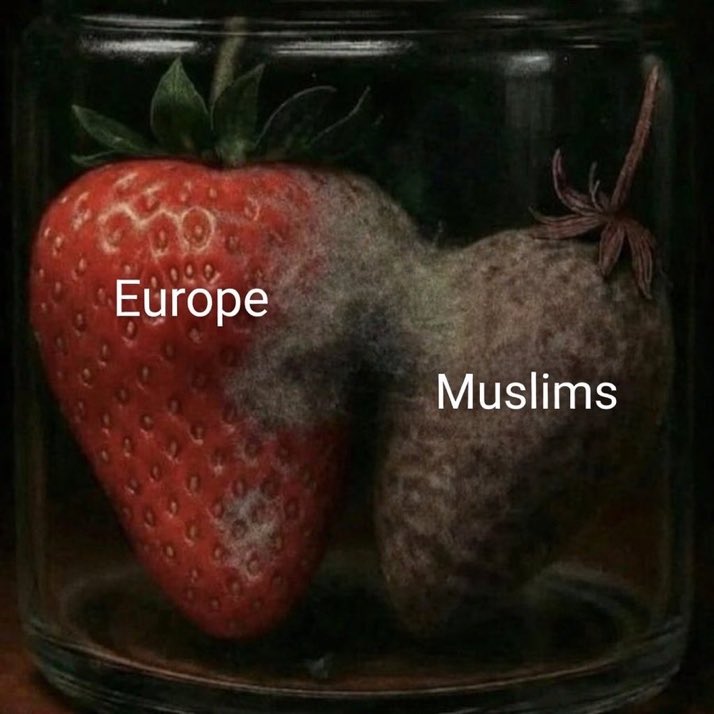 N Ecc 🏴🏴🏴 tweet media