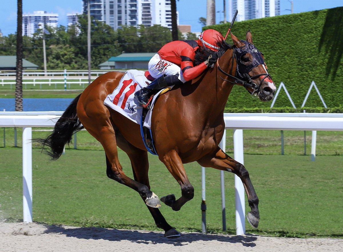 José Morelos tweet media