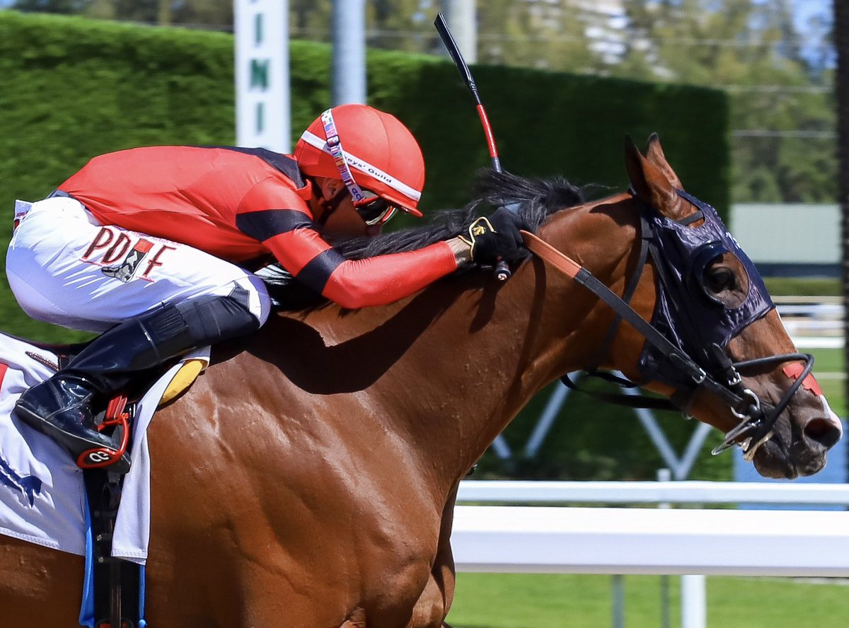 José Morelos tweet media