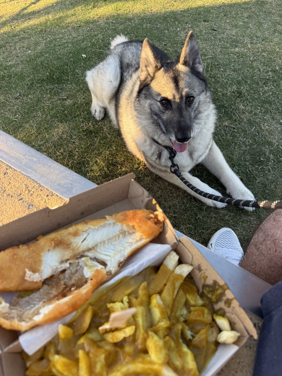 Ex Sergeant Matt B tweet media