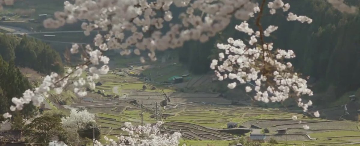 𝘫𝘢𝘦𝘺 tweet media