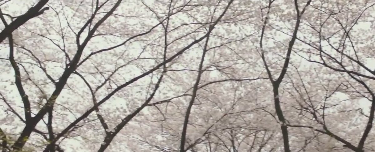 𝘫𝘢𝘦𝘺 tweet media