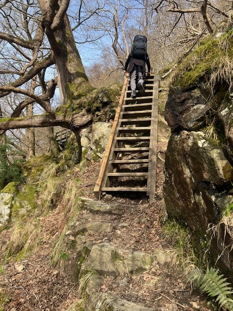 Essex Retired Police Dogs Fund tweet media