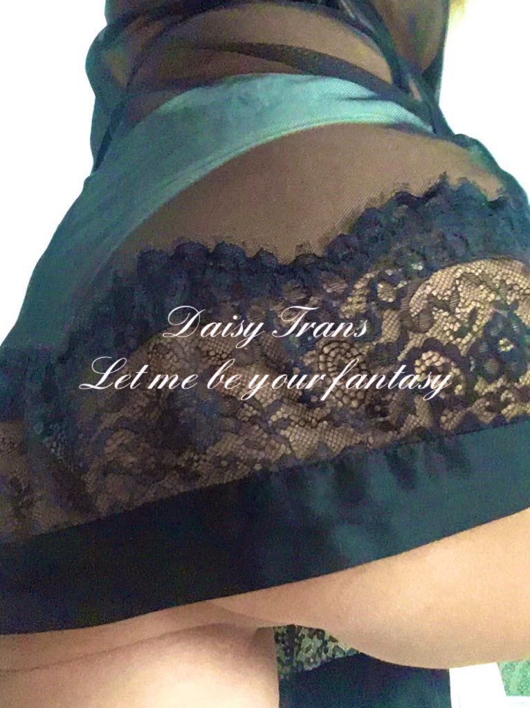 𝐃𝐚𝐢𝐬𝐲 𝐓𝐫𝐚𝐧𝐬 tweet media