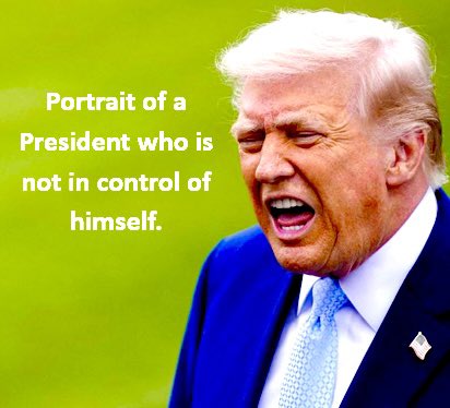 Peg Mansfield tweet media