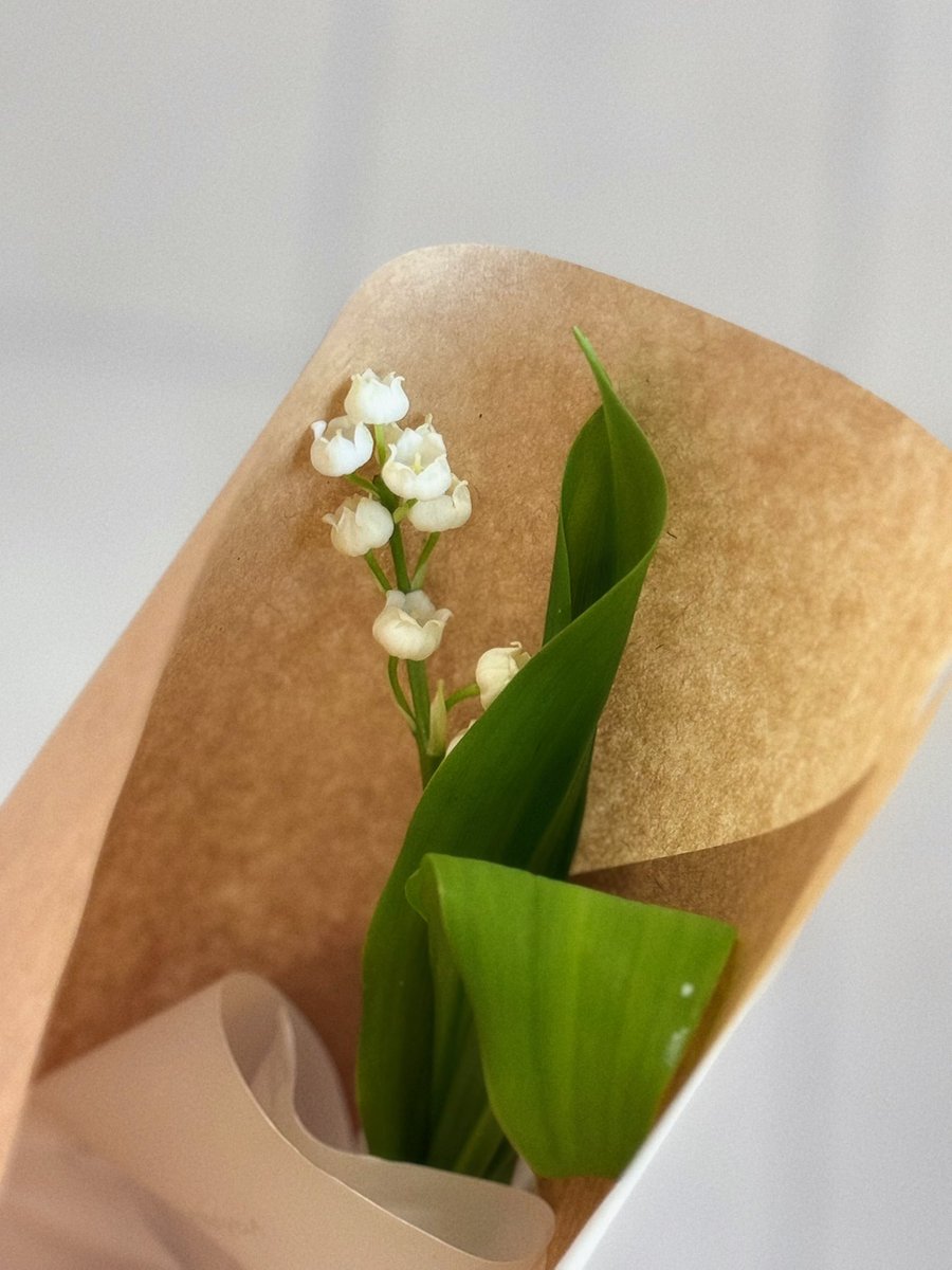 すずらんいただいた。嬉しい。
生産者がすごく減ってるらしくていつか見れなくなるかもしれないって思ったらとても儚い。