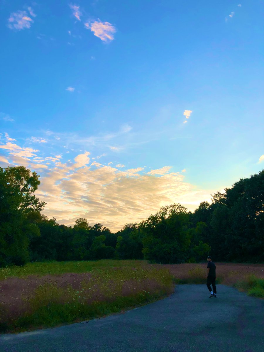 𝘽𝙀𝘼𝙉 tweet media