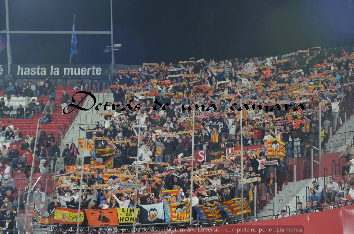 LA GRADA DETRÁS DE UNA CÁMARA tweet media